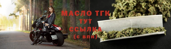 амф Елизово
