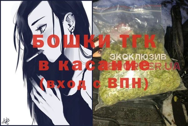 амф Елизово