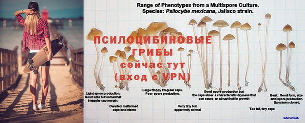 мефедрон мука Ельня