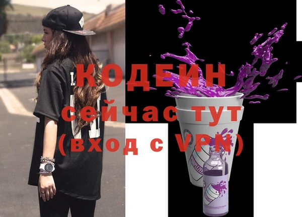 амф Елизово