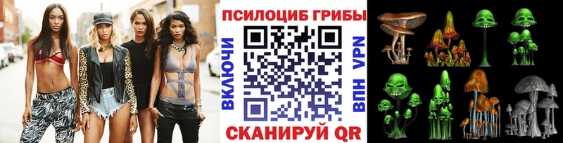 Купить закладки  Невьянск  Псилоцибиновые грибы Psilocybe 